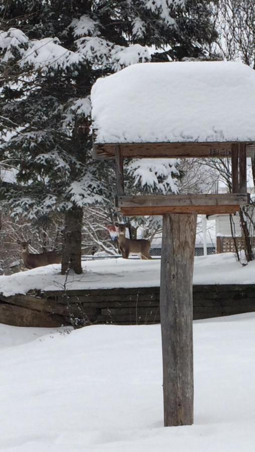 Gite Duchenier Saint-Narcisse-de-Rimouski Kültér fotó